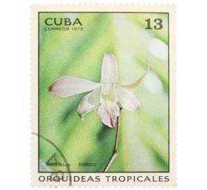 Почтовая марка 13 сентаво 1973 года Куба «Тропические орхидеи — Гибридный дендробиум» — Фото №1