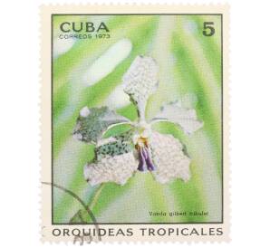 Почтовая марка 5 сентаво 1973 года Куба «Тропические орхидеи — Ванда Гилберт Трибуле» — Фото №1