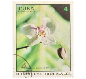 Почтовая марка 4 сентаво 1973 года Куба «Тропические орхидеи — Фаленопсис Шиллера» — Фото №1