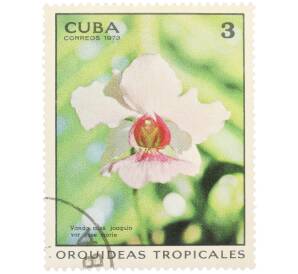 Почтовая марка 3 сентаво 1973 года Куба «Тропические орхидеи — Ванда мисс Джоаким» — Фото №1