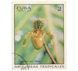 Почтовая марка 2 сентаво 1973 года Куба «Тропические орхидеи — Венерин башмачок изгнанный» — Фото №1