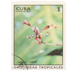 Почтовая марка 1 сентаво 1973 года Куба «Тропические орхидеи — Гибридный дендробиум» — Фото №1