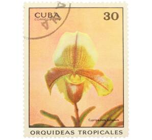 Почтовая марка 30 сентаво 1972 года Куба «Тропические орхидеи — Циприпедиум» — Фото №1