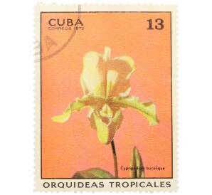 Почтовая марка 13 сентаво 1972 года Куба «Тропические орхидеи — Циприпедиум буколика» — Фото №1