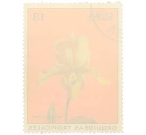 Почтовая марка 13 сентаво 1972 года Куба «Тропические орхидеи — Циприпедиум буколика» — Фото №2