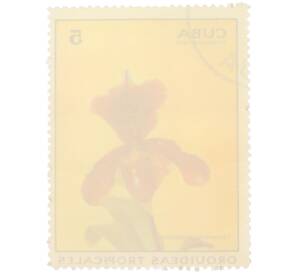 Почтовая марка 5 сентаво 1972 года Куба «Тропические орхидеи — Циприпедиум шампольон» — Фото №2