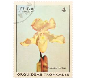 Почтовая марка 4 сентаво 1972 года Куба «Тропические орхидеи — Циприпедиум рози-даун» — Фото №1