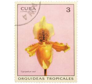Почтовая марка 3 сентаво 1972 года Куба «Тропические орхидеи — Циприпедиум изгнанный» — Фото №1