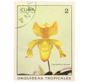 Почтовая марка 2 сентаво 1972 года Куба «Тропические орхидеи — Циприпедиум дореус» — Фото №1