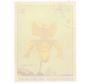 Почтовая марка 2 сентаво 1972 года Куба «Тропические орхидеи — Циприпедиум дореус» — Фото №2