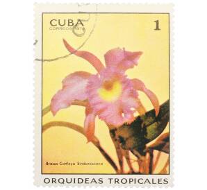 Почтовая марка 1 сентаво 1972 года Куба «Тропические орхидеи — Брассокаттлея синдороссиана» — Фото №1