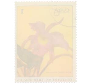 Почтовая марка 1 сентаво 1972 года Куба «Тропические орхидеи — Брассокаттлея синдороссиана» — Фото №2