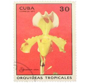 Почтовая марка 30 сентаво 1971 года Куба «Тропические орхидеи — Циприпедиум солюм» — Фото №1
