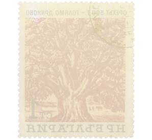 Почтовая марка 1 стотинка 1964 года Болгария «Вековые деревья — 500-летний грецкий орех в селе Голямо-Дряново» — Фото №2