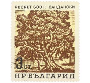 Почтовая марка 3 стотинки 1964 года Болгария «Вековые деревья — 600-летний явор в городе Сандански» — Фото №1