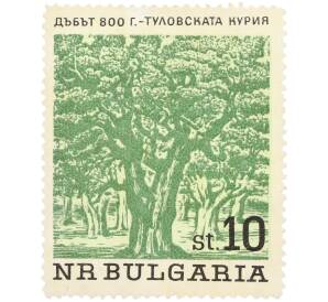 Почтовая марка 10 стотинок 1964 года Болгария «Вековые деревья — 800-летний дуб в местности Туловска-Курия» — Фото №1