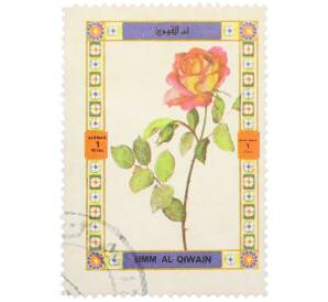 Почтовая марка 1 риал 1972 года Умм-эль-Кайвайн «Цветы — Роза сорта Глория Дей» (Надпись авиапочты) — Фото №1