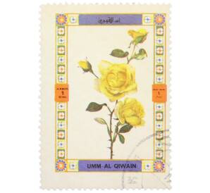 Почтовая марка 1 риал 1972 года Умм-эль-Кайвайн «Цветы — Роза сорта Голден Отум» (Надпись авиапочты) — Фото №1