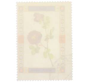 Почтовая марка 1 риал 1972 года Умм-эль-Кайвайн «Цветы — Галльская роза Махека» (Надпись авиапочты) — Фото №2