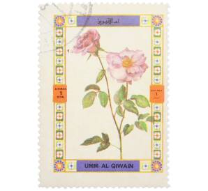 Почтовая марка 1 риал 1972 года Умм-эль-Кайвайн «Цветы — Дамасская роза» (Надпись авиапочты) — Фото №1
