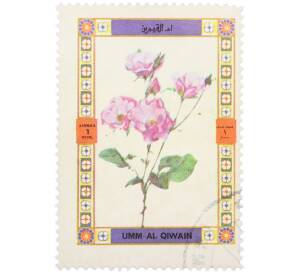 Почтовая марка 1 риал 1972 года Умм-эль-Кайвайн «Цветы — Собачья роза» (Надпись авиапочты) — Фото №1