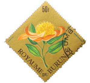 Почтовая марка 50 франков 1966 года Бурунди «Цветы — Протея серебристая» — Фото №1