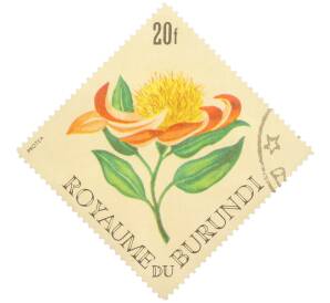 Почтовая марка 20 франков 1966 года Бурунди «Цветы — Протея серебристая» — Фото №1