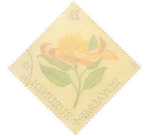 Почтовая марка 20 франков 1966 года Бурунди «Цветы — Протея серебристая» — Фото №2