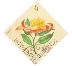 Почтовая марка 4 франка 1966 года Бурунди «Цветы — Протея (Protea)» — Фото №1