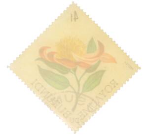 Почтовая марка 4 франка 1966 года Бурунди «Цветы — Протея (Protea)» — Фото №2