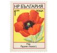 Почтовая марка 1 стотинка 1973 года Болгария «Полевые цветы — Мак самосейка» (Артикул: K12-88509) — Фото №1