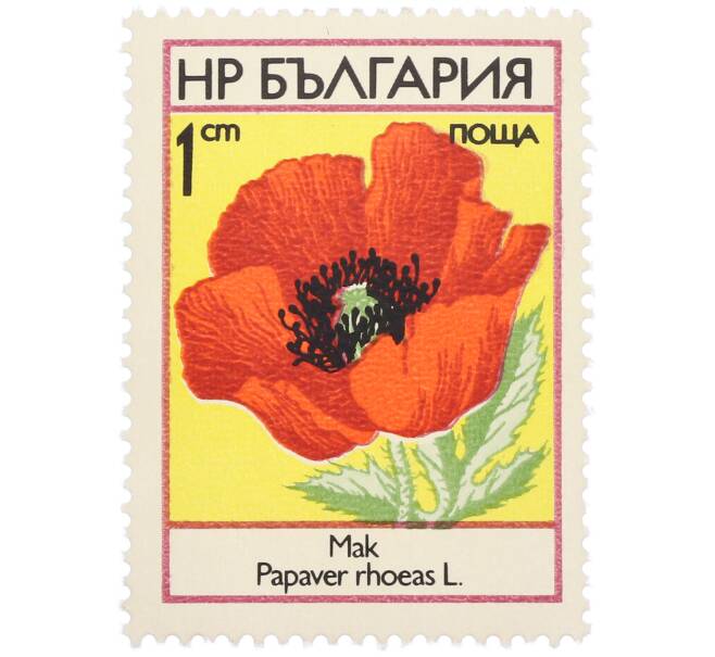 Почтовая марка 1 стотинка 1973 года Болгария «Полевые цветы — Мак самосейка» (Артикул: K12-88509) — Фото №1