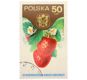 Почтовая марка 50 грошей 1974 года Польша «XIX Международный конгресс садоводства в Варшаве — Земляника садовая» — Фото №1
