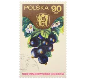 Почтовая марка 90 грошей 1974 года Польша «XIX Международный конгресс садоводства в Варшаве — Смородина черная» — Фото №1