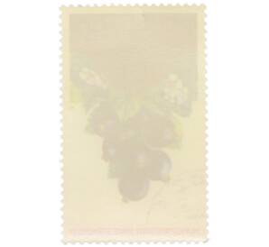 Почтовая марка 90 грошей 1974 года Польша «XIX Международный конгресс садоводства в Варшаве — Смородина черная» — Фото №2