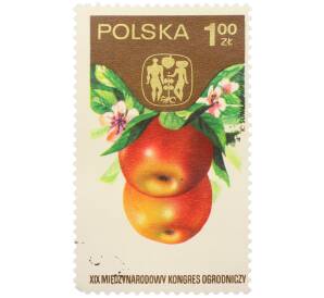 Почтовая марка 1 злотый 1974 года Польша «XIX Международный конгресс садоводства в Варшаве — Яблоки» — Фото №1