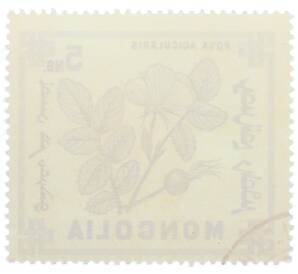 Почтовая марка 5 мунгу 1968 года Монголия «Ягоды — Шиповник иглистый» — Фото №2