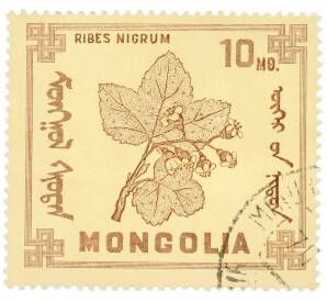 Почтовая марка 10 мунгу 1968 года Монголия «Ягоды — Смородина черная» — Фото №1
