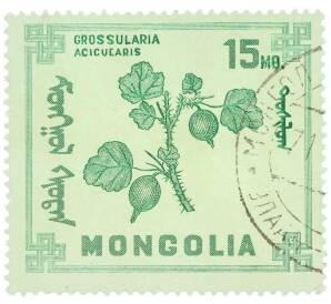 Почтовая марка 15 мунгу 1968 года Монголия «Ягоды — Крыжовник игольчатый» — Фото №1