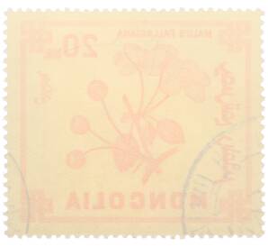 Почтовая марка 20 мунгу 1968 года Монголия «Ягоды — Яблоня Палласа» — Фото №2