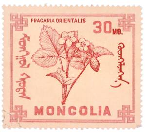 Почтовая марка 30 мунгу 1968 года Монголия «Ягоды — Земляника восточная» — Фото №1