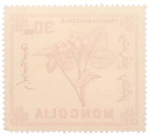 Почтовая марка 30 мунгу 1968 года Монголия «Ягоды — Земляника восточная» — Фото №2