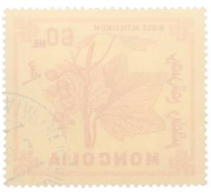 Почтовая марка 60 мунгу 1968 года Монголия «Ягоды — Смородина высочайшая» — Фото №2