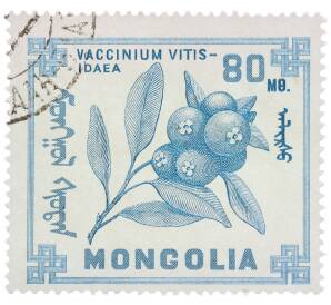 Почтовая марка 80 мунгу 1968 года Монголия «Ягоды — Брусника» — Фото №1