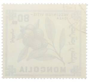 Почтовая марка 80 мунгу 1968 года Монголия «Ягоды — Брусника» — Фото №2