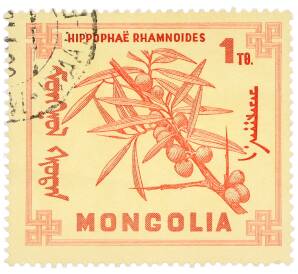 Почтовая марка 1 тугрик 1968 года Монголия «Ягоды — Облепиха крушиновидная» — Фото №1