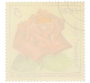 Почтовая марка 5 пфеннигов 1972 года Восточная Германия (ГДР) «Международная выставка роз в Эрфурте — Роза Карнеол» — Фото №2