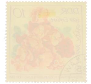 Почтовая марка 10 пфеннигов 1972 года Восточная Германия (ГДР) «Международная выставка роз в Эрфурте — Роза Бергерс Розе» — Фото №2