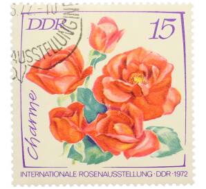 Почтовая марка 15 пфеннигов 1972 года Восточная Германия (ГДР) «Международная выставка роз в Эрфурте — Роза Шарм» — Фото №1