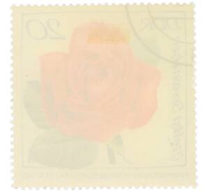 Почтовая марка 20 пфеннигов 1972 года Восточная Германия (ГДР) «Международная выставка роз в Эрфурте — Роза Ицетка Спрееатен» — Фото №2